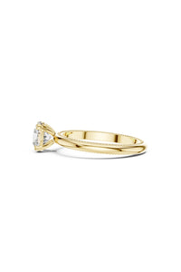 Isolde Trellis Solitaire Ring