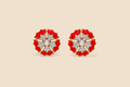 Ruby Pearl Starburst Studs